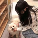 无尽仙踪手游正式版下载
